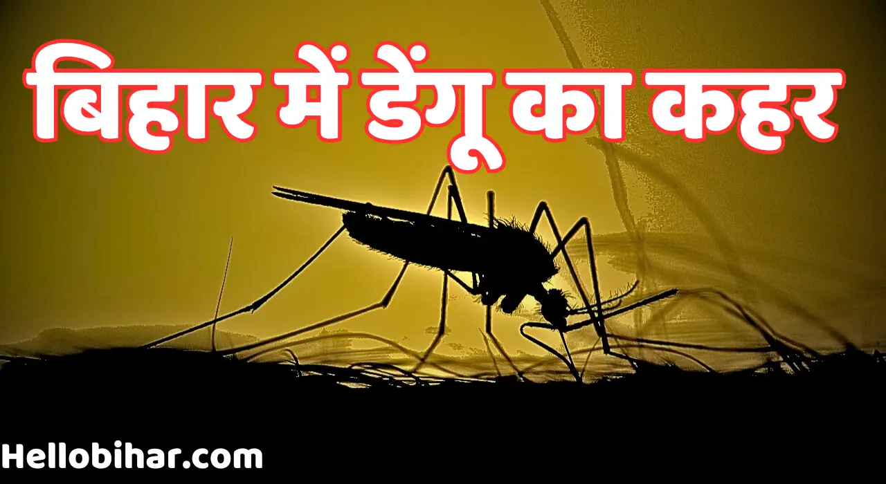 Bihar dengue