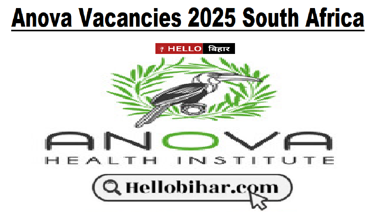 Anova Vacancies 2025 South Africa