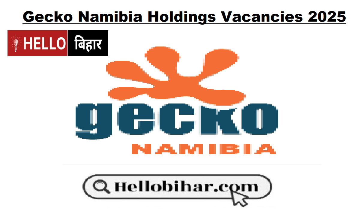 Gecko Namibia Holdings Vacancies 2025