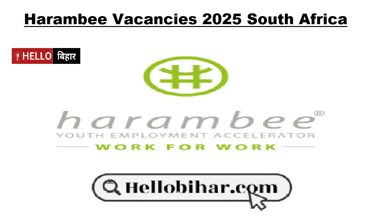 Harambee Vacancies 2025 South Africa