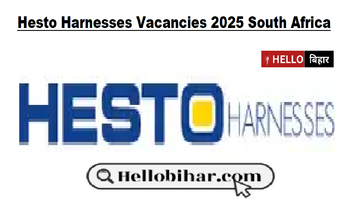 Hesto Harnesses Vacancies 2025 South Africa
