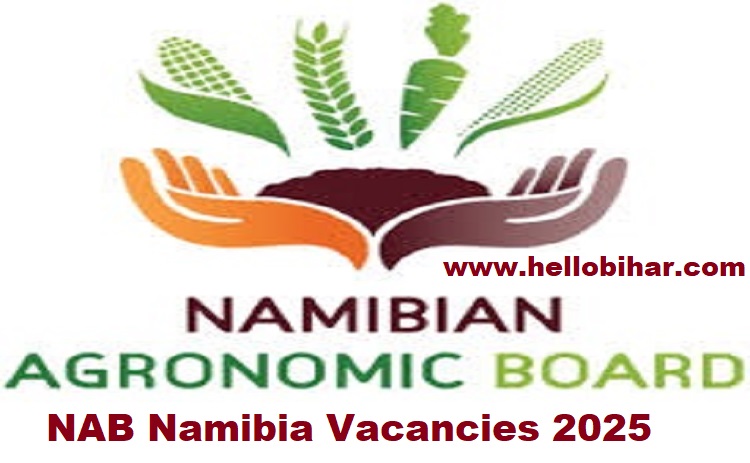 NAB Namibia Vacancies 2025