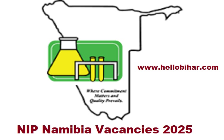 NIP Namibia Vacancies 2025